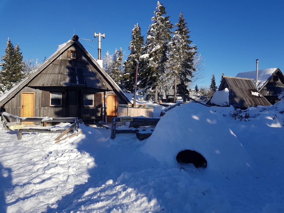 Chalet Encijan - Velika Planina Villa Stahovica Exterior photo